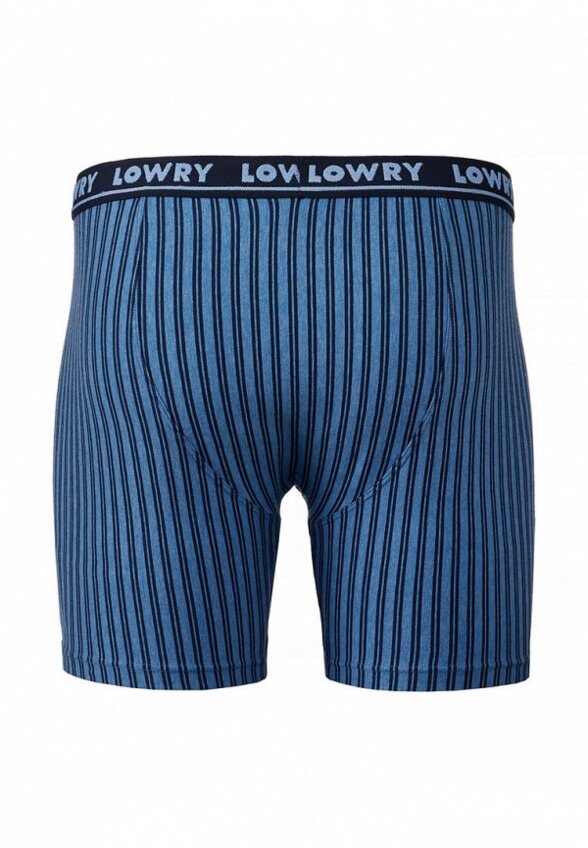 Трусы Lowry Collection