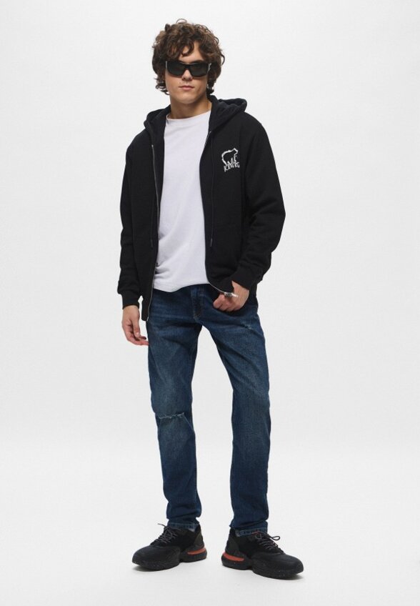 Толстовка Iceberg