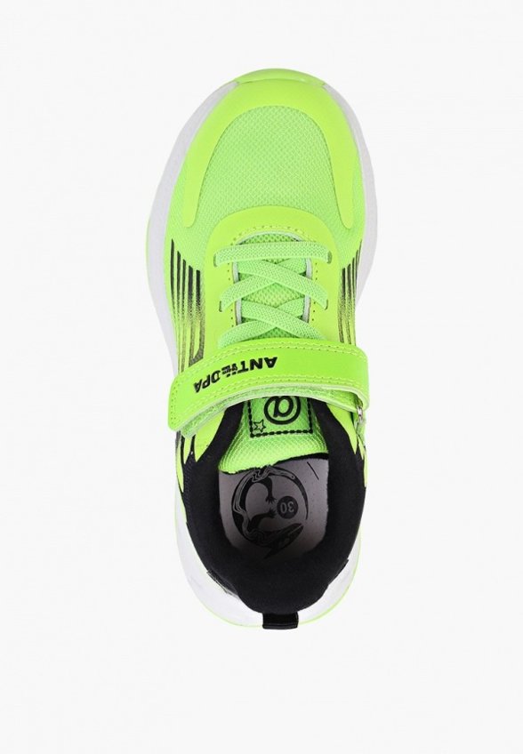 Кроссовки Antilopa