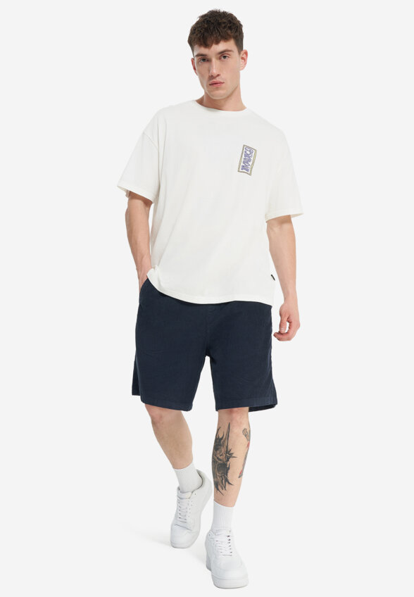 Футболка мужская оверсайз Quiksilver Sunrise Bowl, Белый