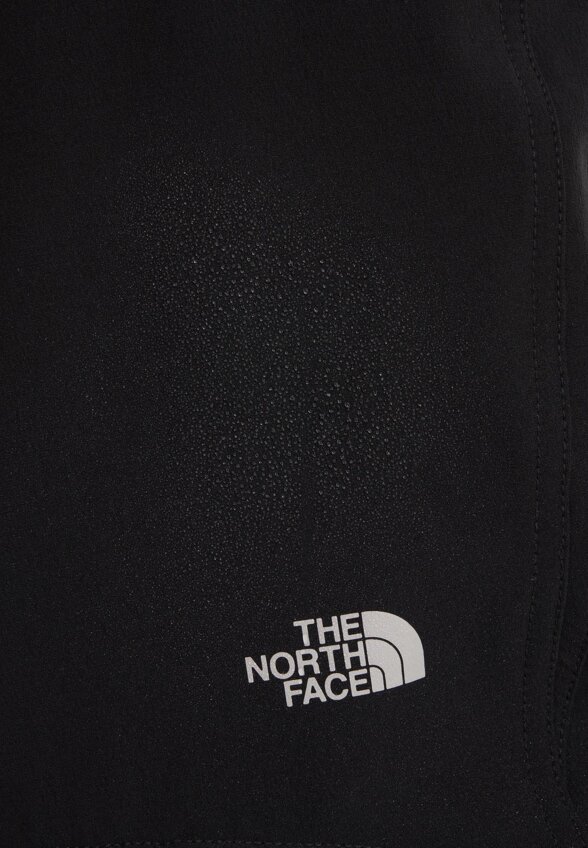 Брюки мужские The North Face Quest Softshell, Черный
