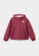 Куртка утепленная The North Face1  - превью