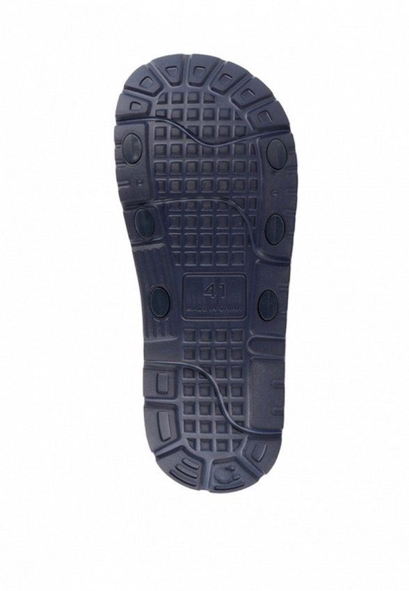 Сланцы De Fonseca