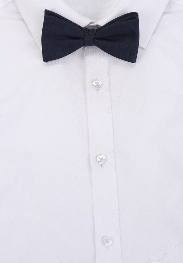 Бабочка Mango Man