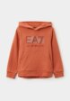 Худи EA71  - превью