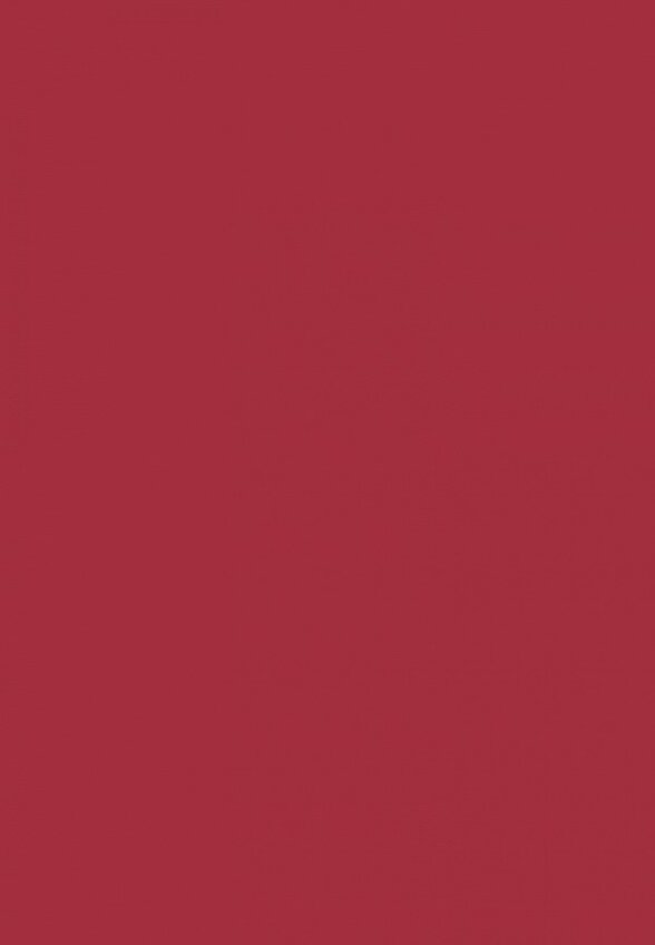 Помада жидкая Arive Makeup