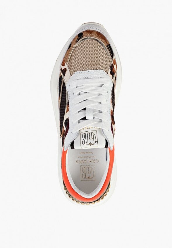 Кроссовки Graciana