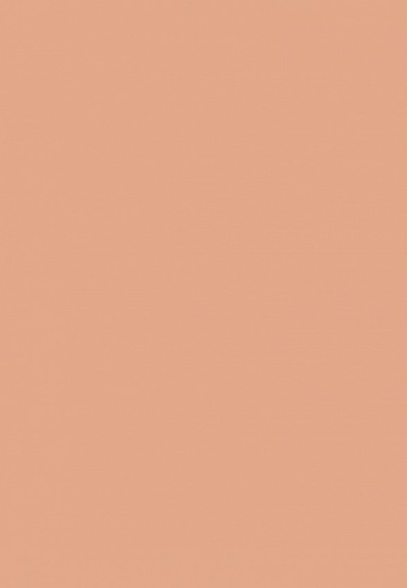 Кушон для лица Limoni