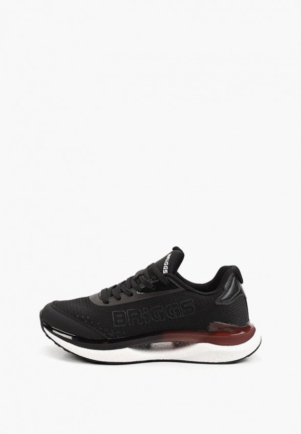 Кроссовки Briggs