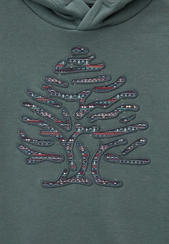 Худи Springfield