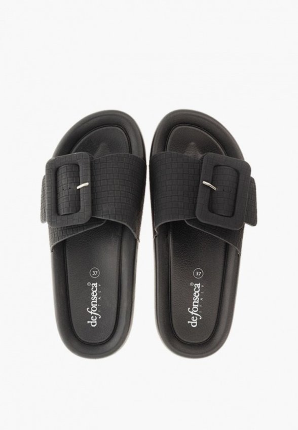 Сланцы De Fonseca