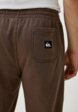 Брюки спортивные Quiksilver4  - превью