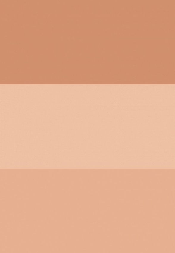 Пудра Eva Mosaic