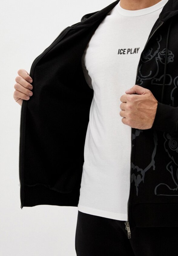 Толстовка Iceberg