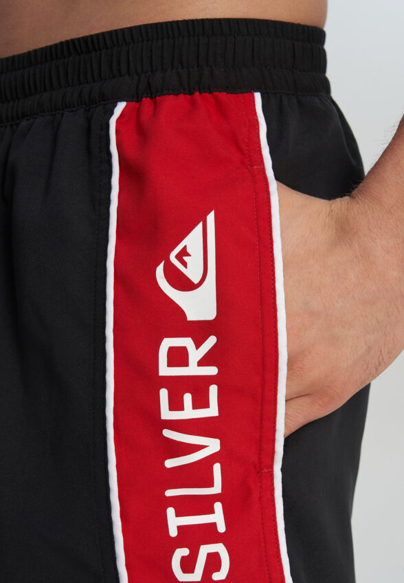 Шорты плавательные мужские Quiksilver Everyday Clicker Volley 17, Черный