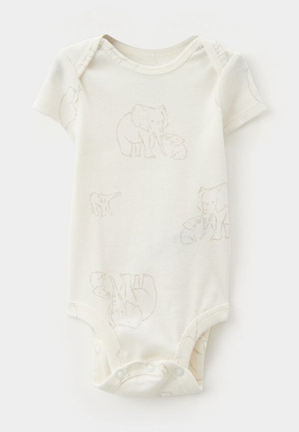 Боди 2 шт. и брюки Carter’s