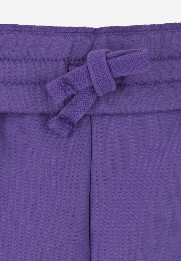 Брюки женские оверсайз Demix, Plus Size, Фиолетовый