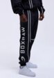 Брюки спортивные Boxraw3  - превью