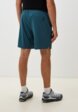 Шорты спортивные Helly Hansen3  - превью