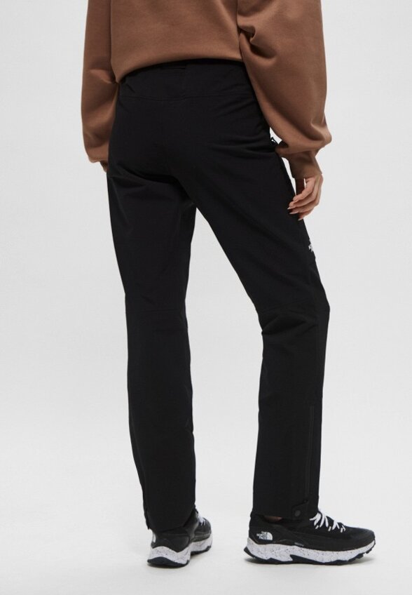 Брюки спортивные The North Face