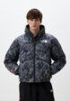 Пуховик The North Face1  - превью