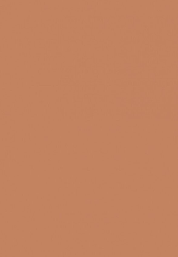 BB-Крем для лица Erborian