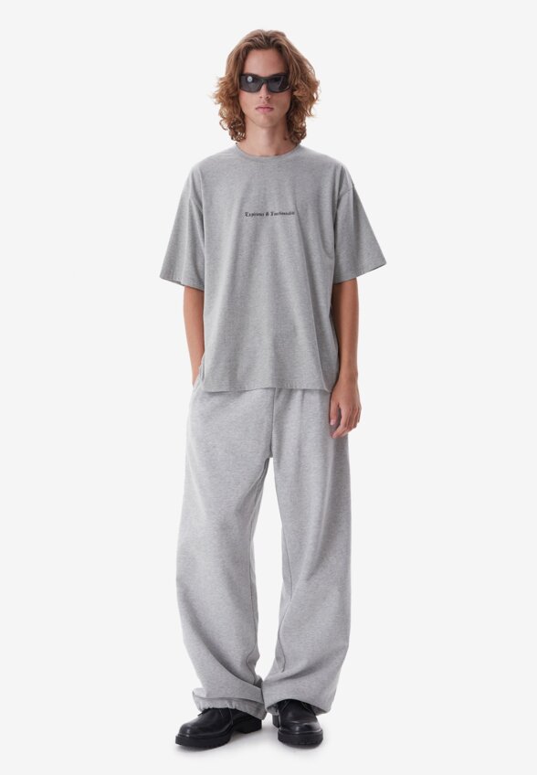 Футболка Attitude era Grey Melange FABLE