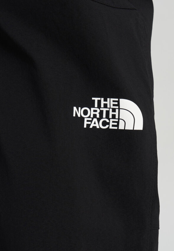 Брюки мужские The North Face Exploration, Черный