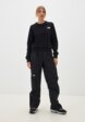 Брюки спортивные The North Face2  - превью