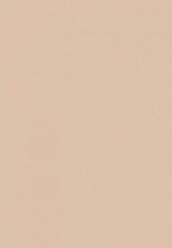 Тональная основа Nrav