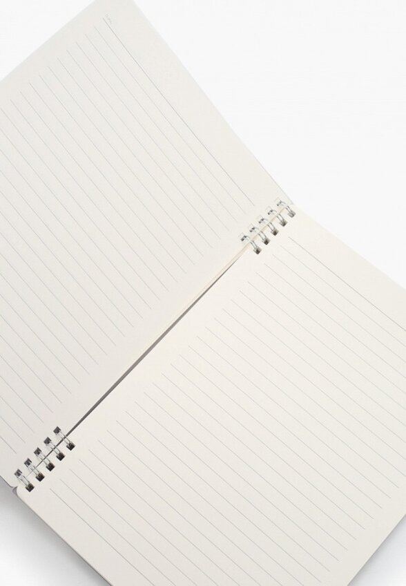 Тетрадь на кольцах Deli