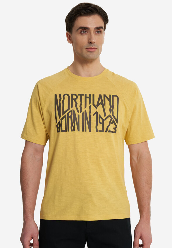 Футболка мужская Northland, Оранжевый