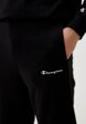 Брюки спортивные Champion4  - превью