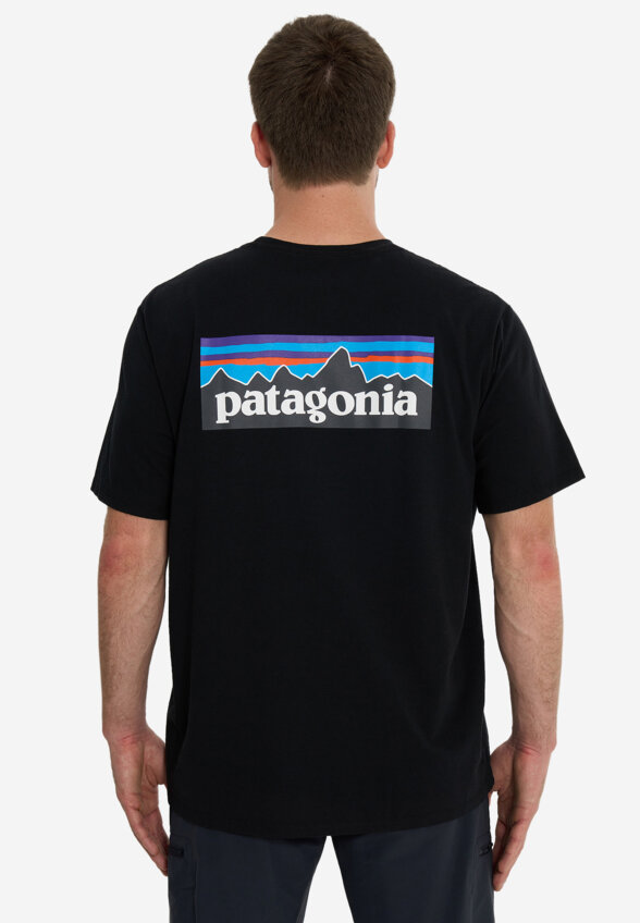 Футболка мужская Patagonia Logo, Черный