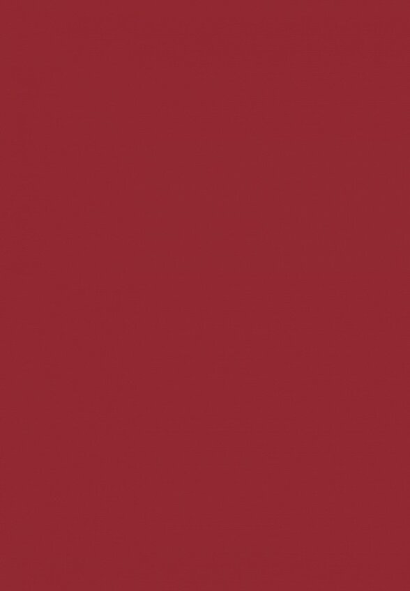 Карандаш для губ Shik