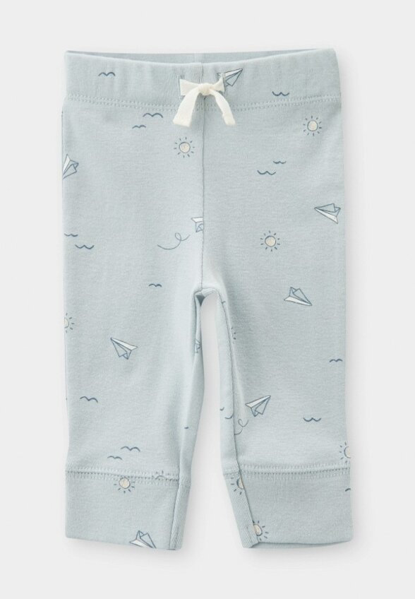 Лонгслив, брюки и шапка Carter’s