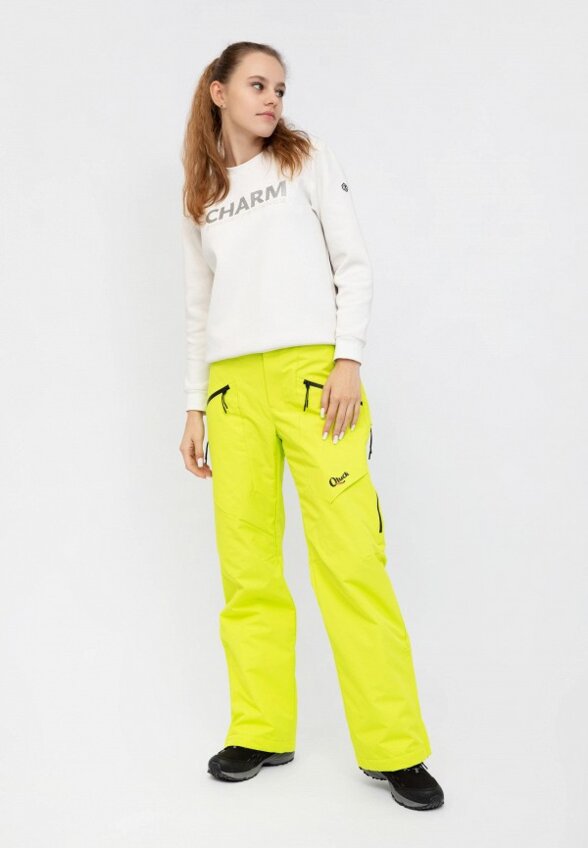 Брюки сноубордические Qluck