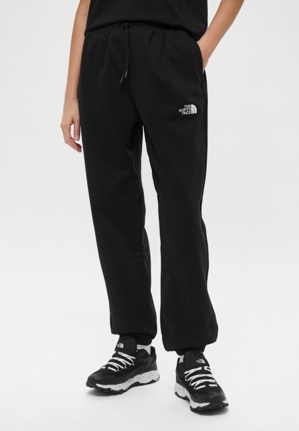 Брюки спортивные The North Face