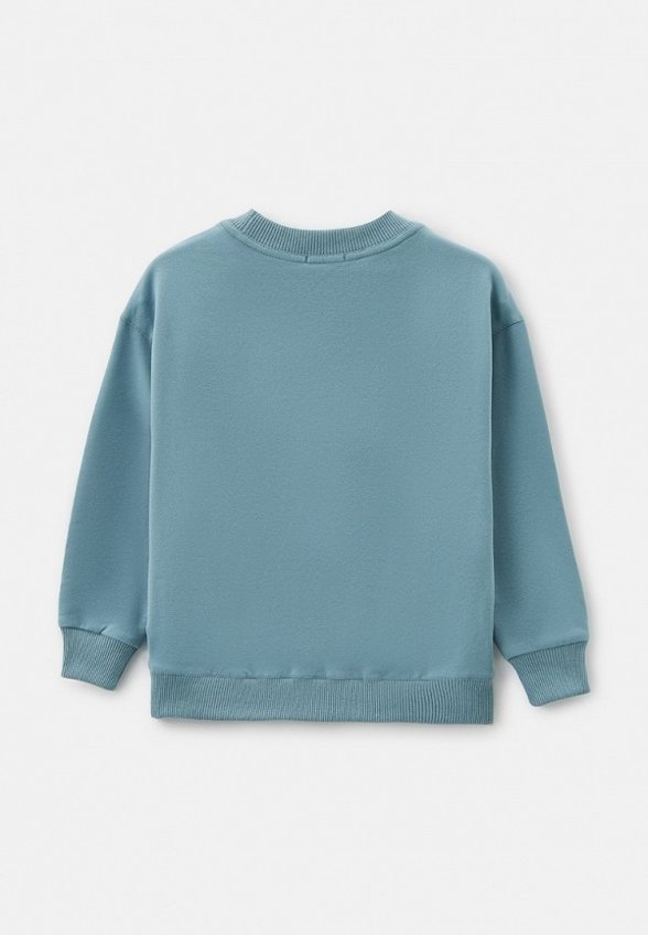 Свитшот Sui Generis