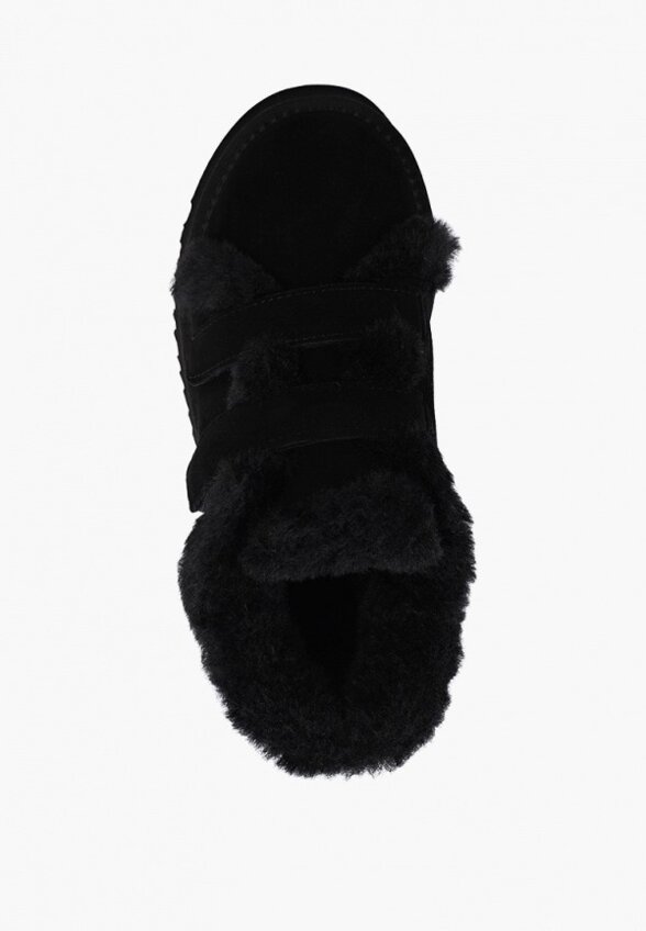 Ботинки Dino Albat