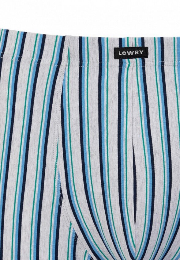 Трусы Lowry Collection