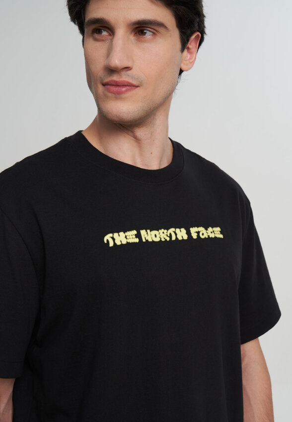 Футболка мужская The North Face Logo Twist, Черный