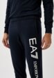 Брюки спортивные EA74  - превью