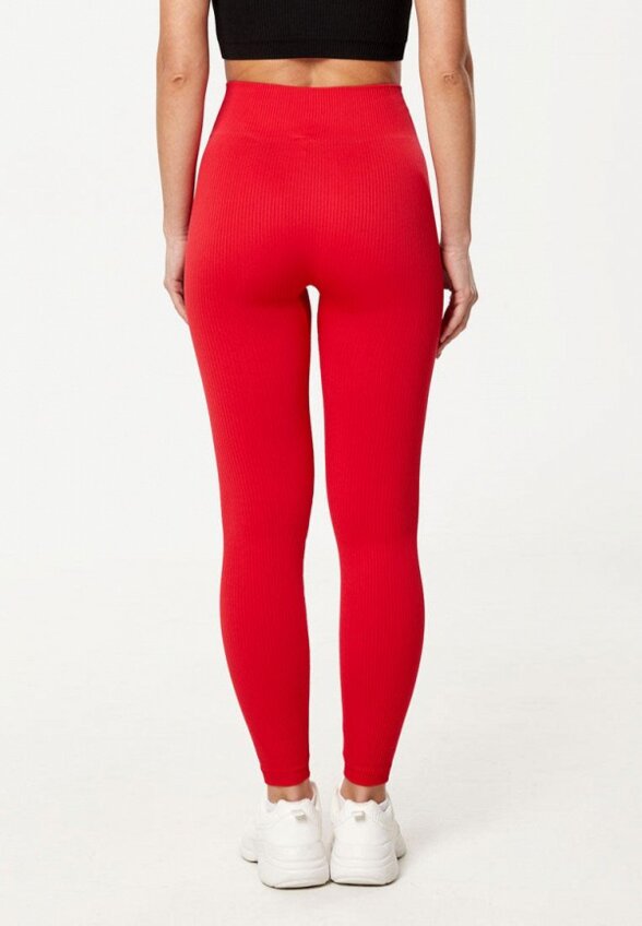 Леггинсы Gympanthers