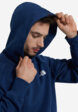Худи мужское The North Face Raglan Box Nse, Синий5  - превью