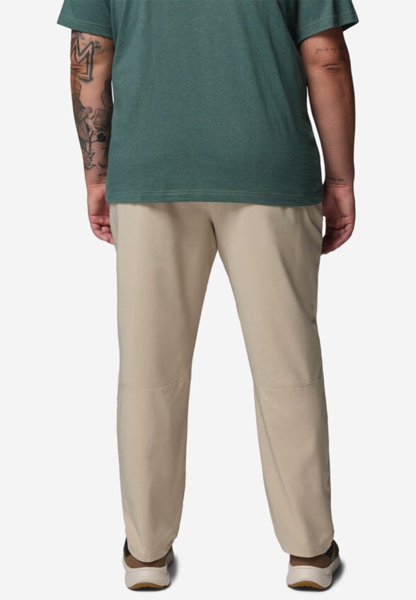 Брюки мужские Columbia Sage Peak Chino Pant, Бежевый