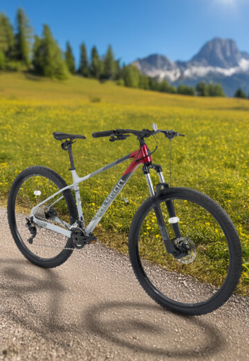 Велосипед горный Polygon Xtrada 5 29