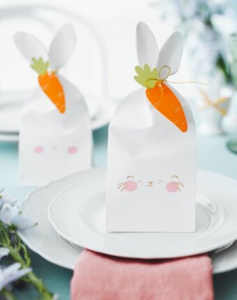 Пакетики Пати Деко (Party Deco) "Кролик", 6 шт детям