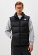 Жилет утепленный The North Face1  - превью