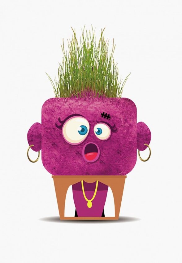 Набор игровой Hape